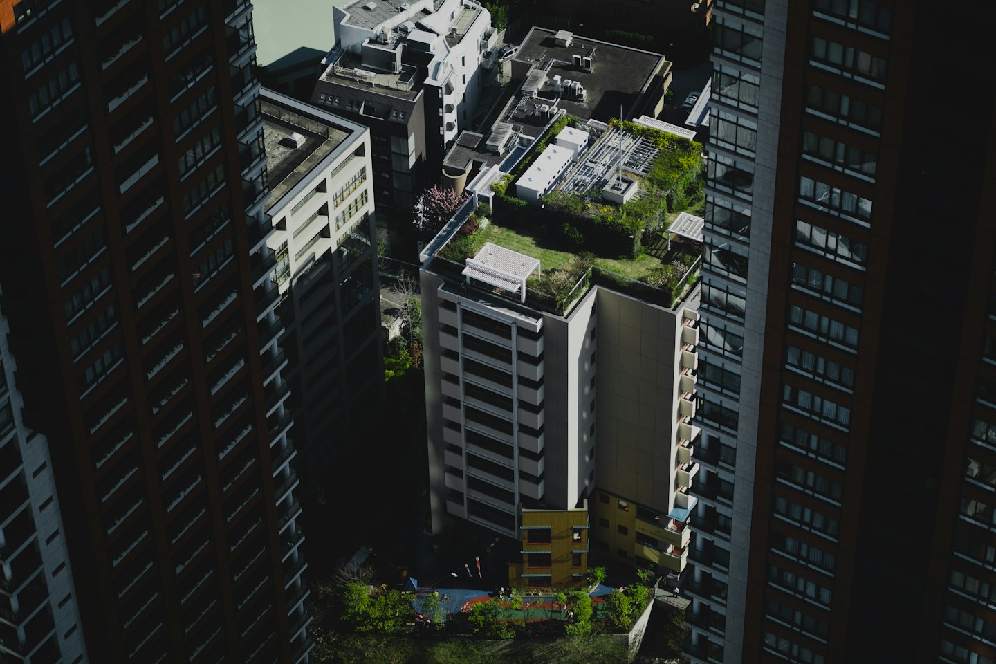Moderna stadshus med gröna tak och rekreationsområden.